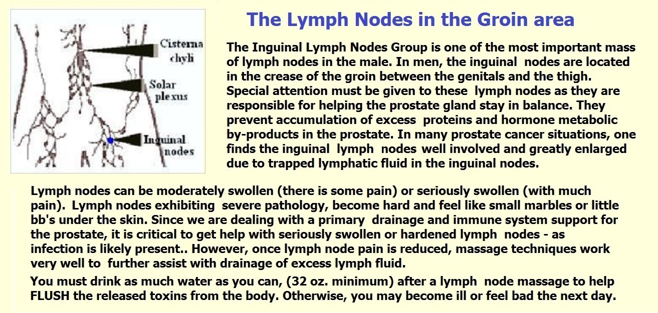 male inguinal lymph nodes